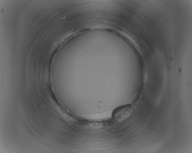 X0000081300353200702012315