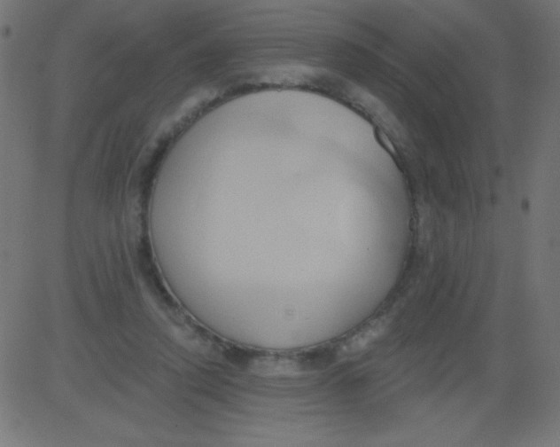 X0000081300354200702012315