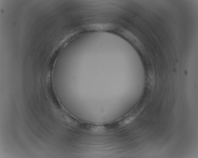 X0000081300355200702012315