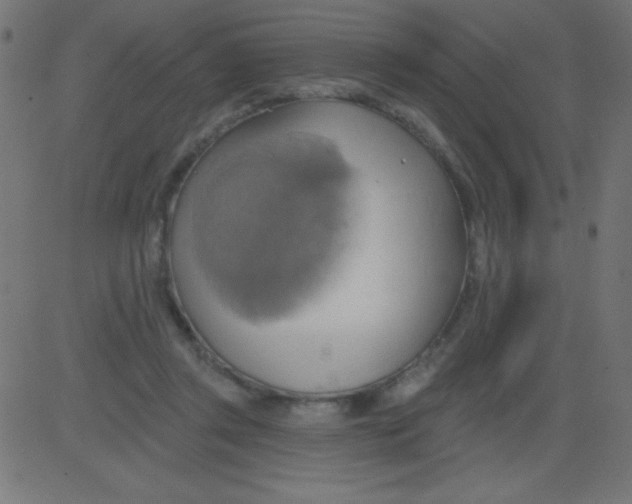 X0000081300357200702012315