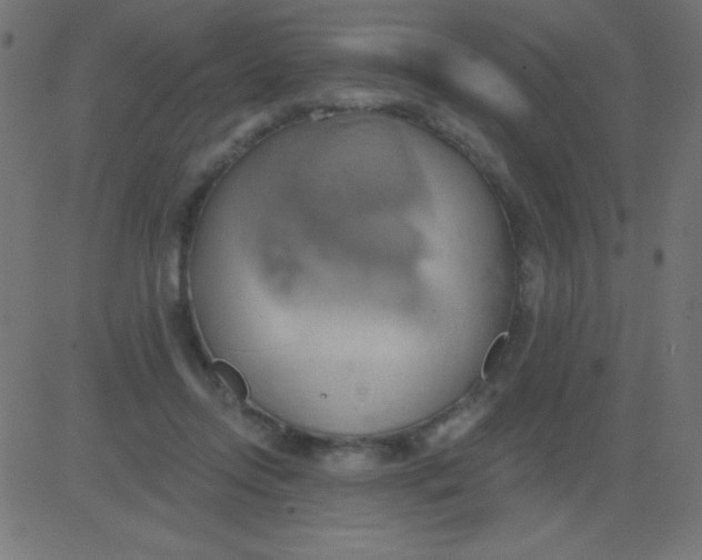 X0000081300358200702012315