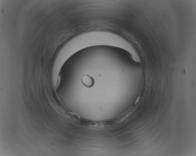 X0000081300362200702012315