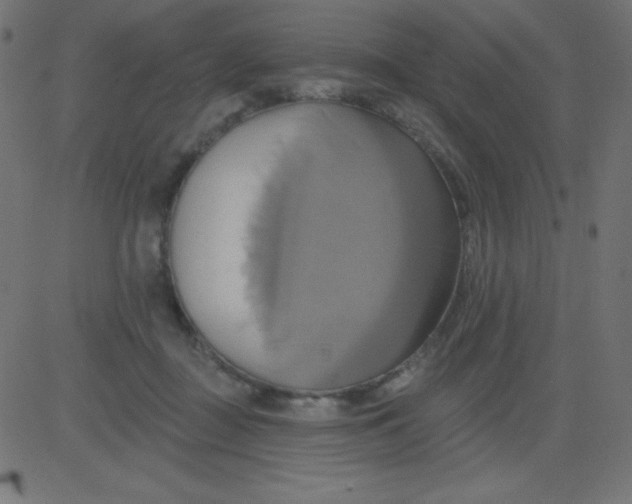 X0000081300363200702012315