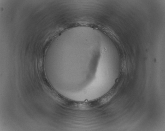 X0000081300365200702012315