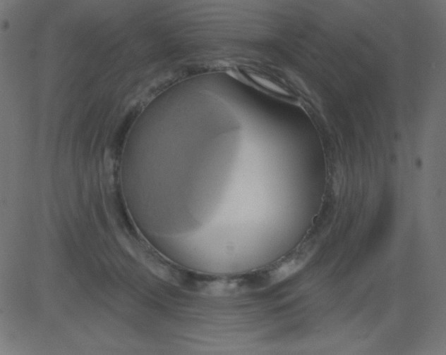 X0000081300366200702012315