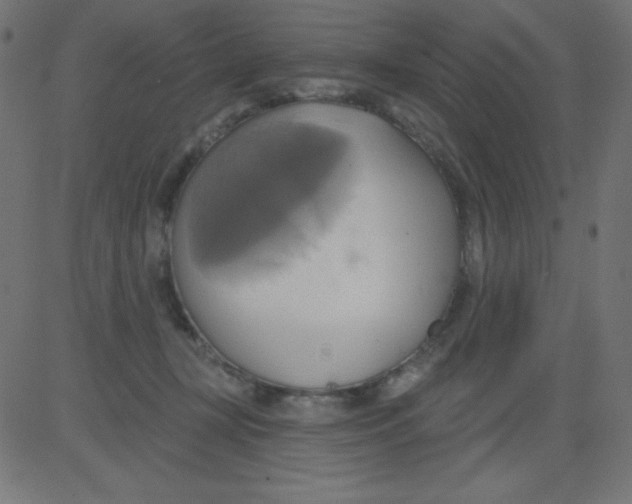 X0000081300367200702012315