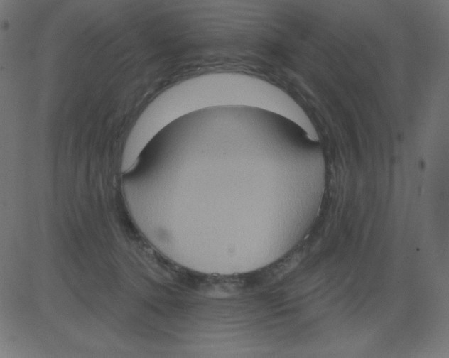 X0000081300368200702012315