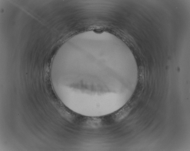 X0000081300369200702012315