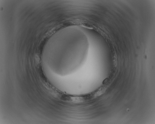 X0000081300371200702012315