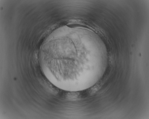 X0000081300373200702012315