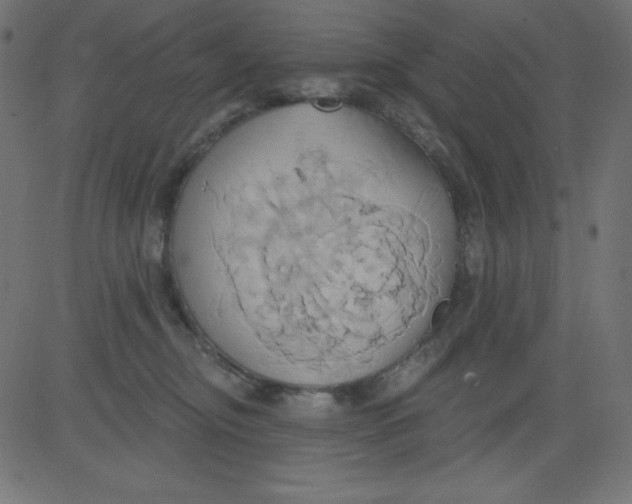 X0000081300374200702012315