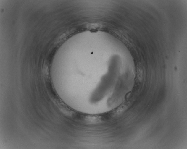 X0000081300375200702012315