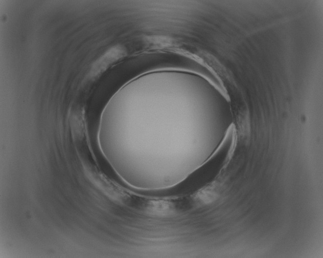 X0000081300376200702012315