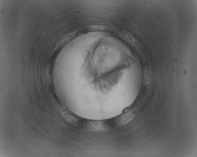 X0000081300377200702012315