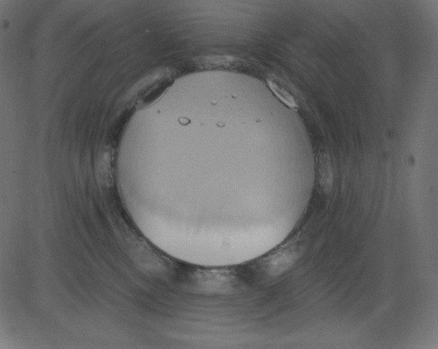 X0000081300378200702012315