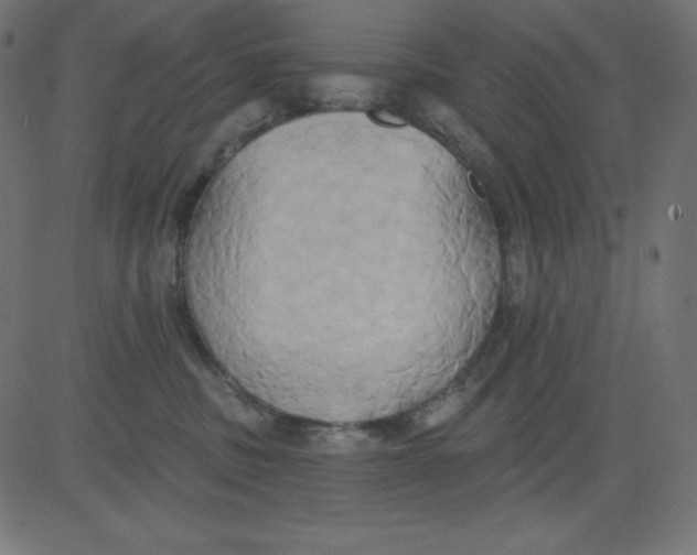 X0000081300379200702012315