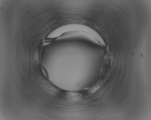 X0000081300380200702012315