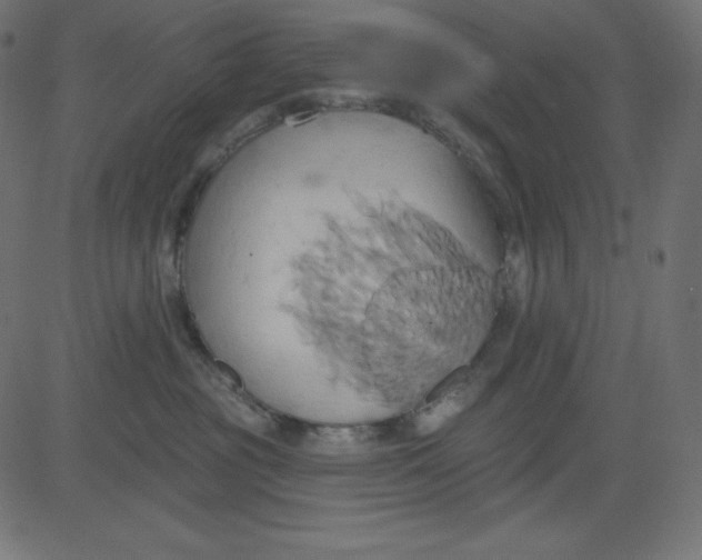 X0000081300381200702012315