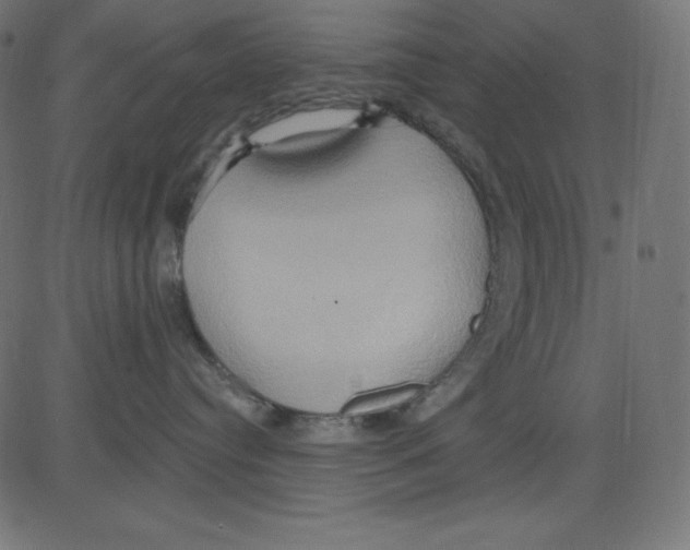 X0000081300384200702012315