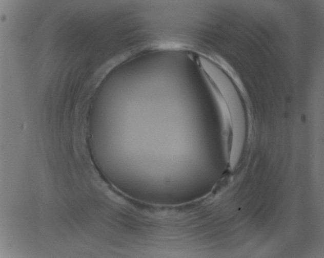 X0000081300385200702012315