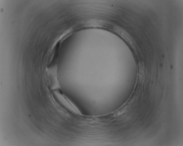 X0000081300386200702012315