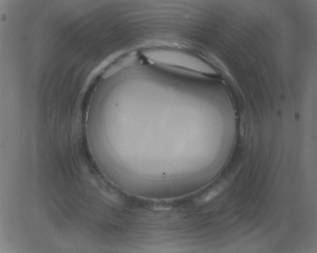 X0000081300388200702012315