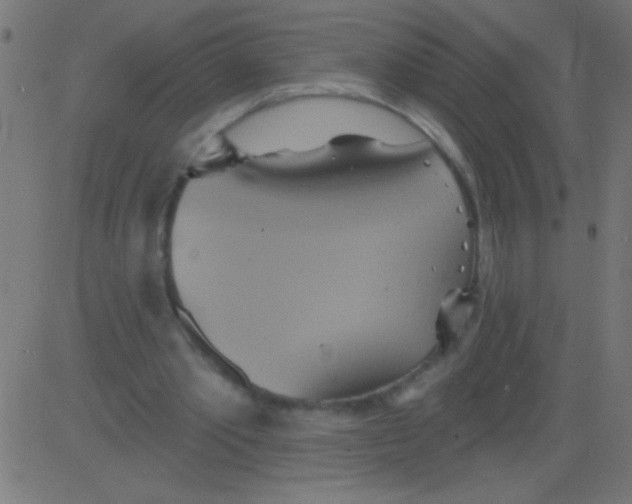 X0000081300389200702012315