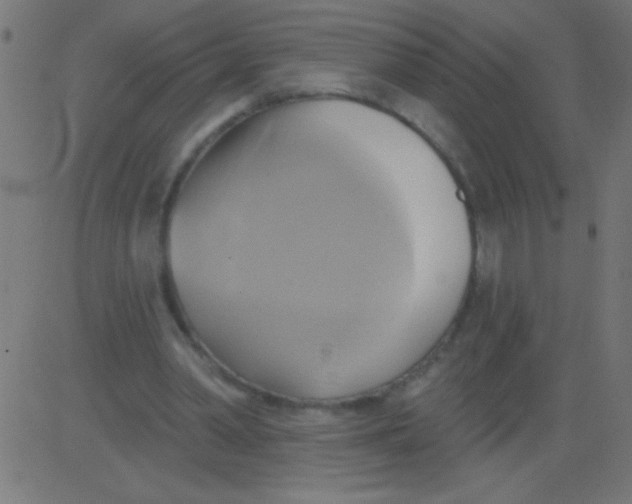 X0000081300390200702012314