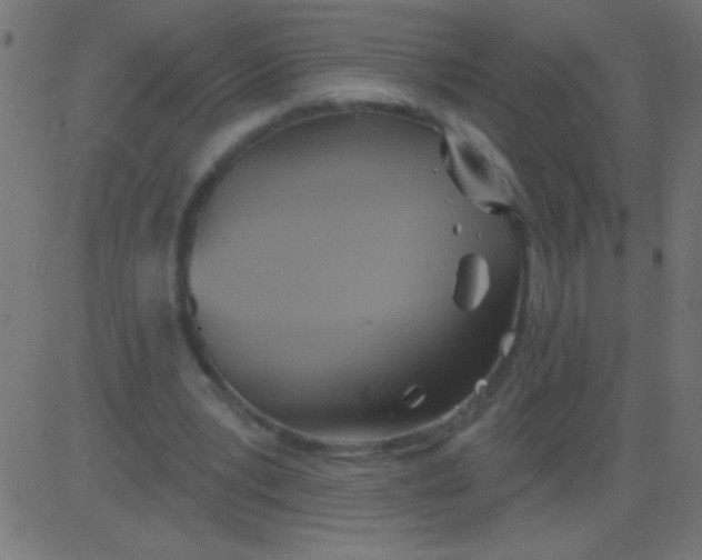 X0000081300391200702012314