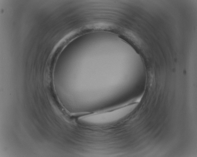 X0000081300392200702012314