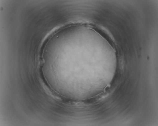 X0000081300395200702012314