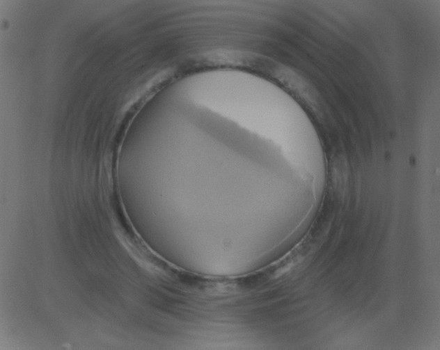 X0000081300398200702012314