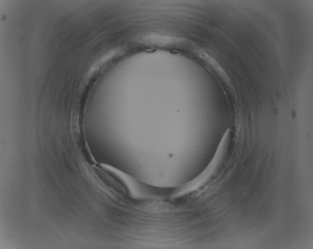 X0000081300399200702012314