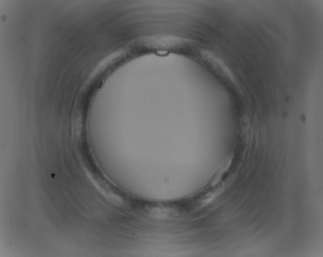 X0000081300400200702012314