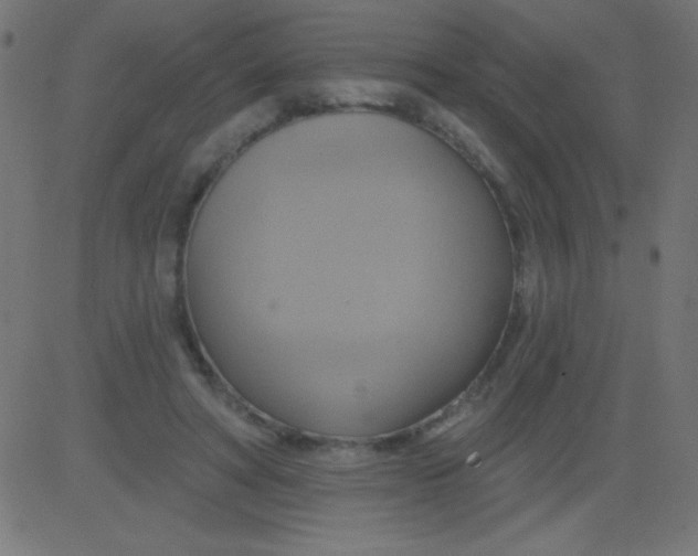 X0000081300402200702012314