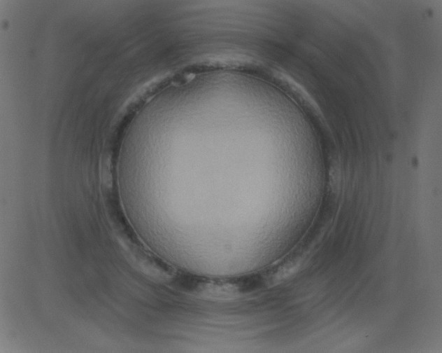 X0000081300403200702012314