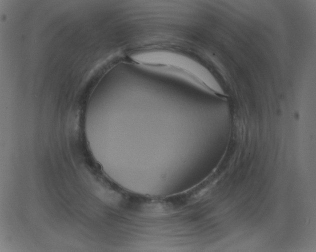 X0000081300404200702012314