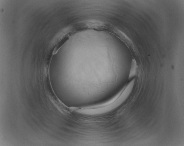 X0000081300405200702012314