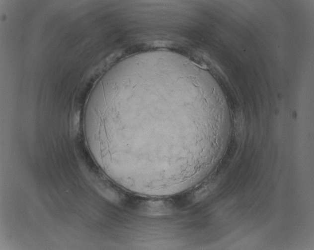 X0000081300406200702012314