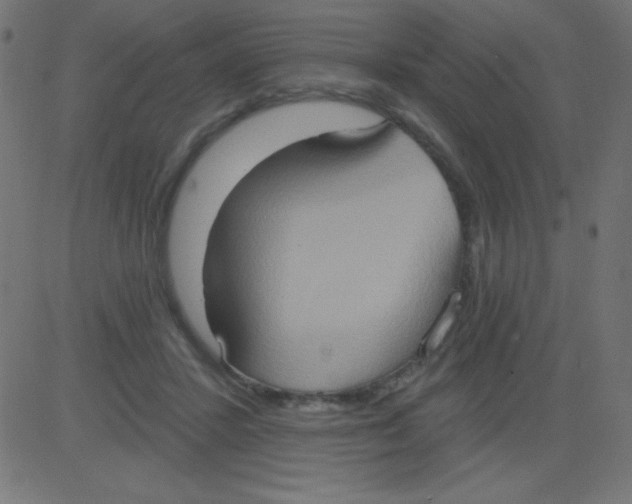 X0000081300407200702012314