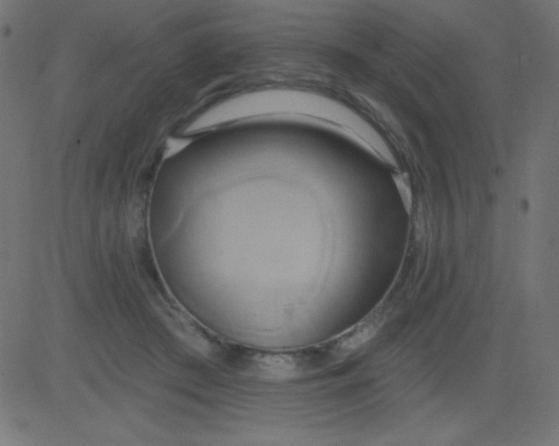 X0000081300409200702012314