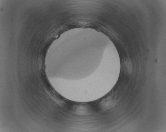 X0000081300412200702012314