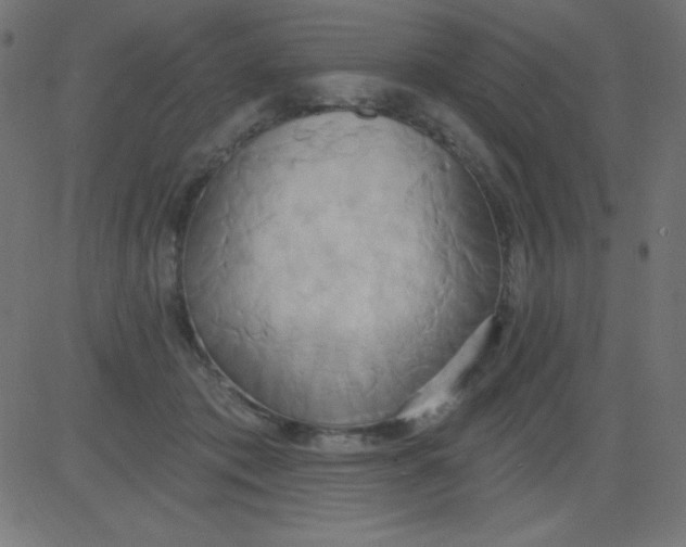 X0000081300413200702012314