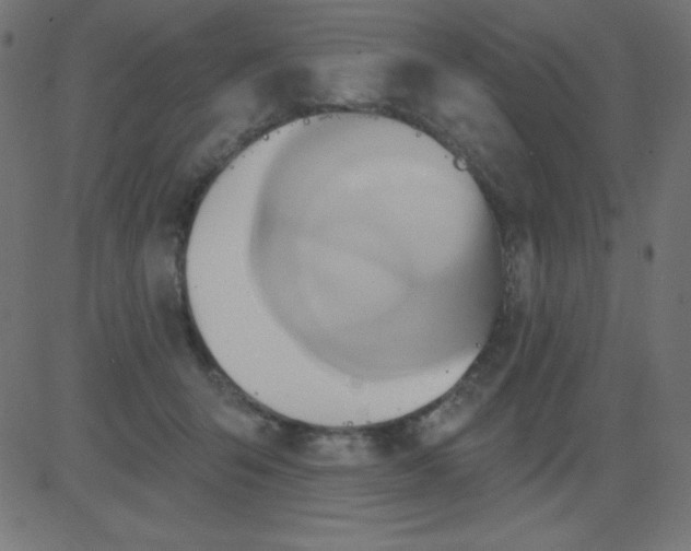 X0000081300415200702012314