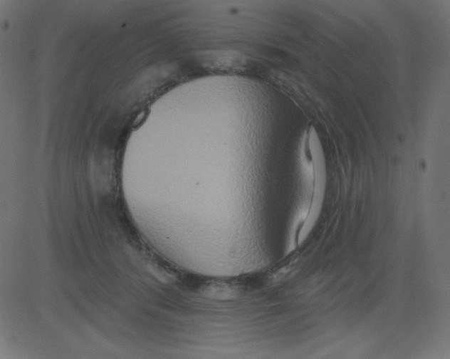 X0000081300416200702012314