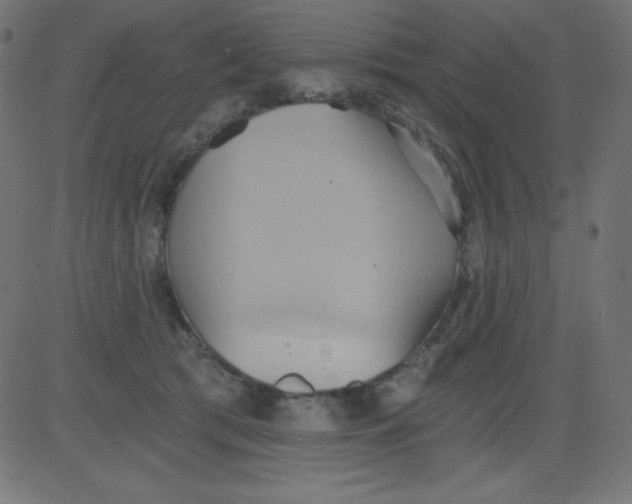 X0000081300417200702012314