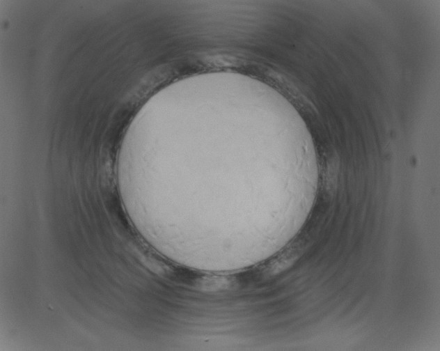 X0000081300418200702012314