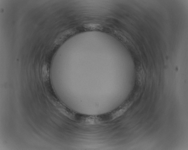 X0000081300420200702012314