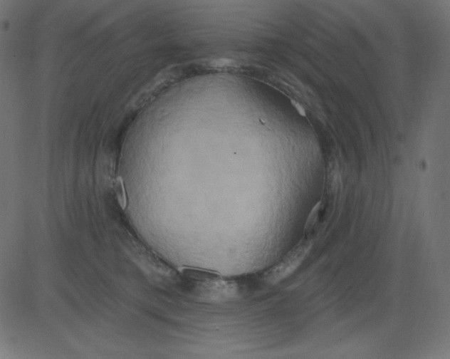 X0000081300421200702012314