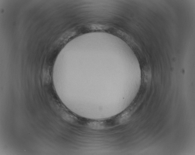 X0000081300422200702012314